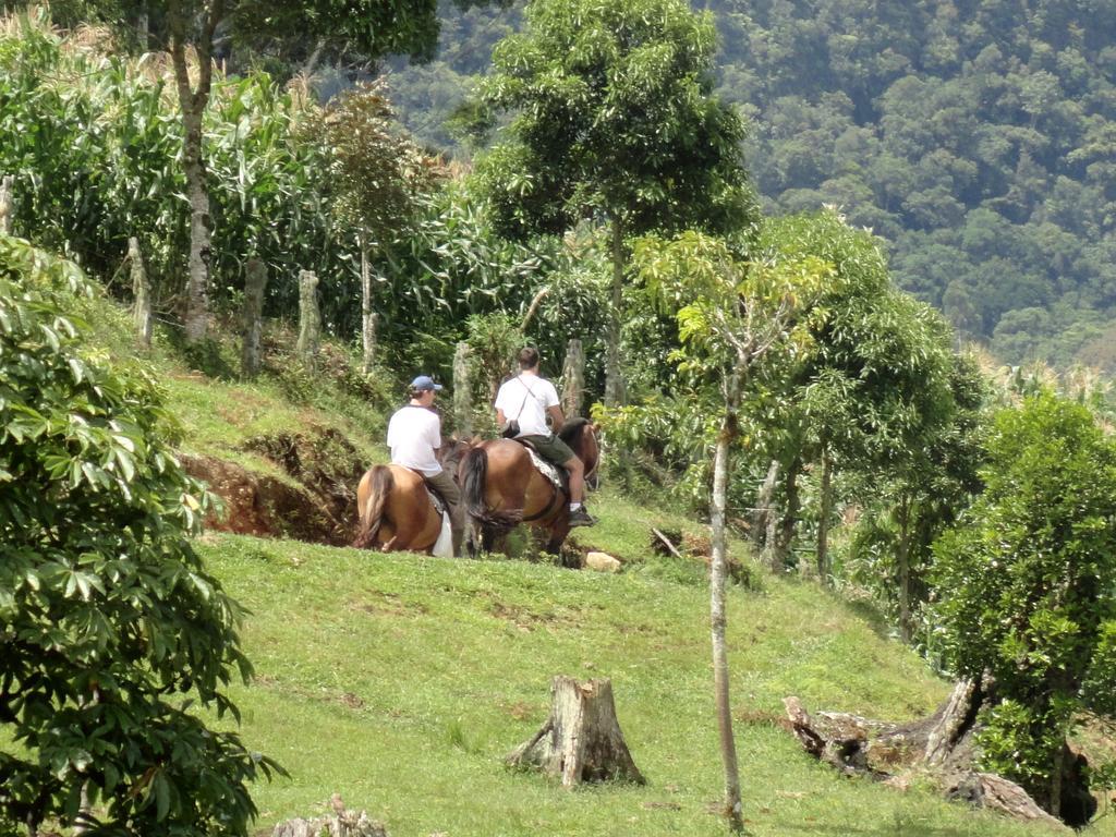 Sitio Colina Hotel Rio do Sul Ngoại thất bức ảnh